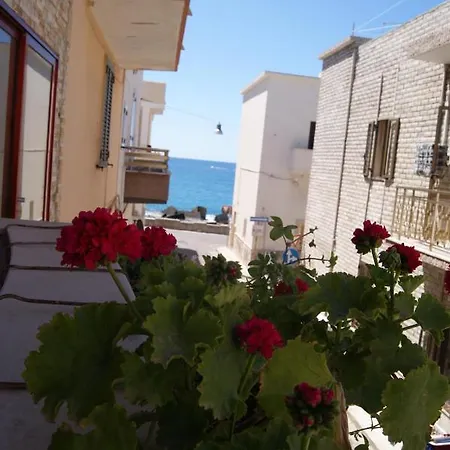 Bed & Breakfast Del Lungomare 2*
